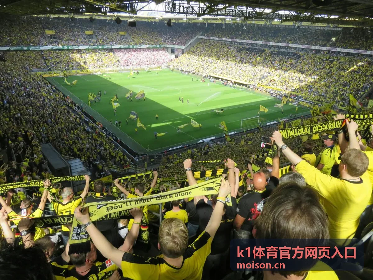 k1体育官方网页入口 页面信息核验卡片封面